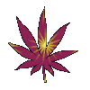 pinktrees.gif